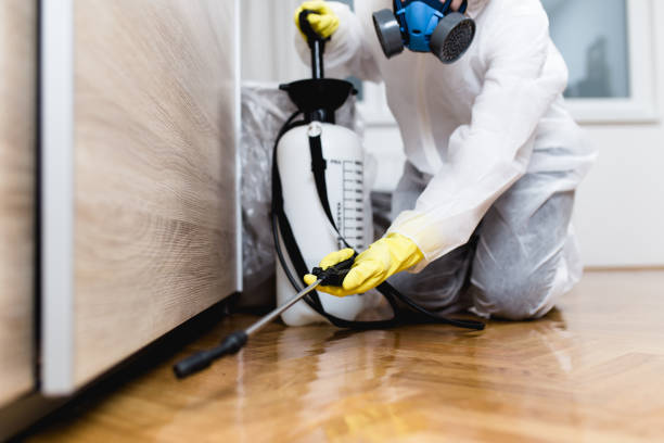 Best Wildlife Control Services  in Auberry, CA