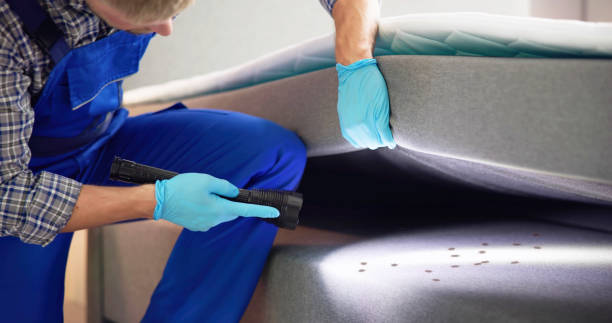 Best Bed Bug Extermination  in Auberry, CA