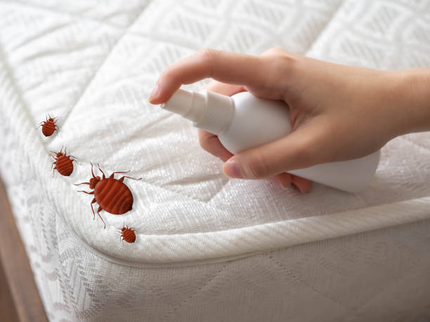 Best Exterminator Services  in Auberry, CA