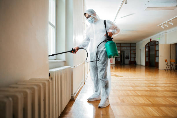 Best Ant Control Services  in Auberry, CA